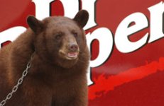 07_mascot_250.jpg