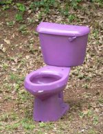 toilet.jpg