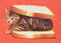 catsandwhich.jpg