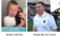 ...Pat Fitzgerald.jpg