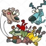 Dogs In A Pile