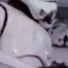 Enhance