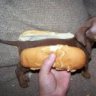 JoeHuskers!